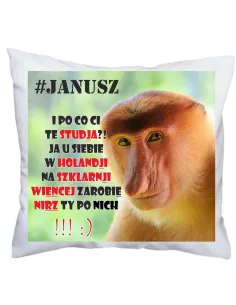Poduszka Janusz I po co Ci te studia?! Ja u siebie w Holandji na szklarnji wiencej zarobie nirz Ty po nich!!! :)