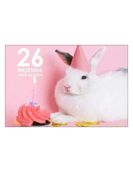 Magnesy na lodówkę - 26 WRZEŚNIA DZIEŃ KRÓLIKA - drukarnia, hurtownia, producent magnesów na lodówkę - druktur.com