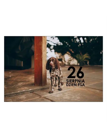 Magnesy na lodówkę - 26 SIERPNIA DZIEŃ PSA - drukarnia, hurtownia, producent magnesów na lodówkę - druktur.com