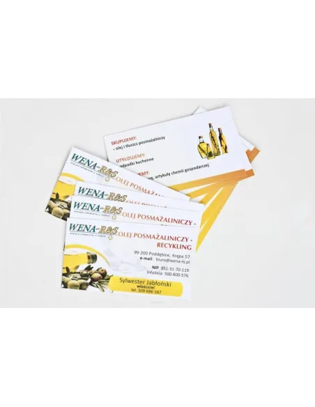 WIZYTÓWKI 100 szt. 48h szybki druk EXPRESS