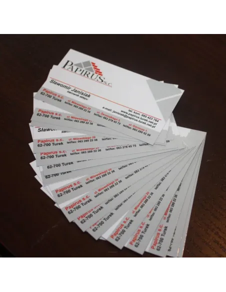 WIZYTÓWKI 200 szt. 48h szybki druk EXPRESS