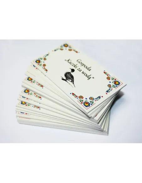 WIZYTÓWKI 200 szt. 48h szybki druk EXPRESS 2 strony