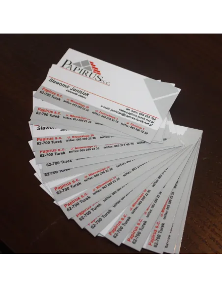 WIZYTÓWKI 400 szt. 48h szybki druk EXPRES 2 strony