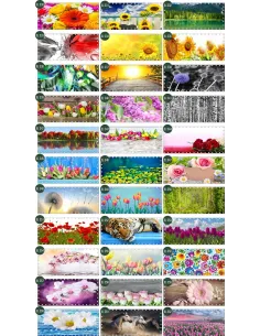 OSŁONA BALKONOWA na balkon siatkę kwiaty SURFINIE