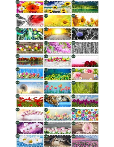 OSŁONA BALKONOWA na balkon siatkę kwiaty SURFINIE