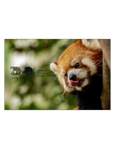 Magnesy na lodówkę - ,,ZOO ZOOBACZ POKOCHAJ POMÓŻ OCHRONIĆ" - drukarnia, hurtownia, producent magnesów na lodówkę - druktur.com