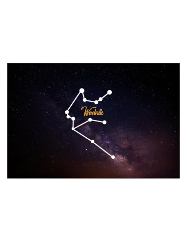 Magnesy na lodówkę - ZNAKI ZODIAKU WODNIK - drukarnia, hurtownia, producent magnesów na lodówkę - druktur.com