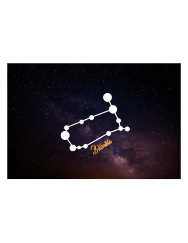 Magnesy na lodówkę - ZNAKI ZODIAKU BLIŹNIĘTA - drukarnia, hurtownia, producent magnesów na lodówkę - druktur.com