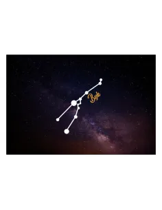 Magnesy na lodówkę - ZNAKI ZODIAKU BYK - drukarnia, hurtownia, producent magnesów na lodówkę - druktur.com