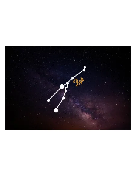 Magnesy na lodówkę - ZNAKI ZODIAKU BYK - drukarnia, hurtownia, producent magnesów na lodówkę - druktur.com