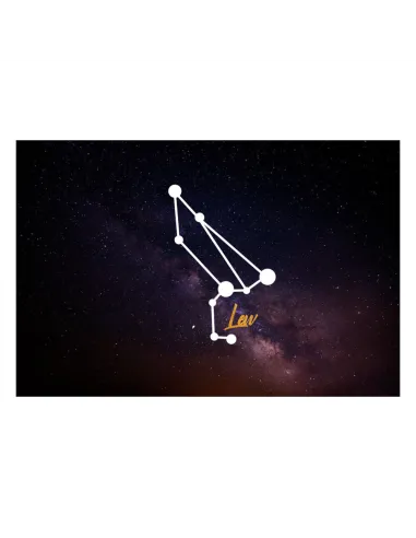 Magnesy na lodówkę - ZNAKI ZODIAKU LEW - drukarnia, hurtownia, producent magnesów na lodówkę - druktur.com