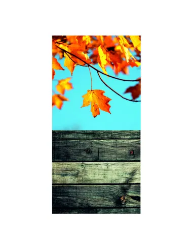 Tło fotograficzne Jesień liście drzewa 150x300 cm