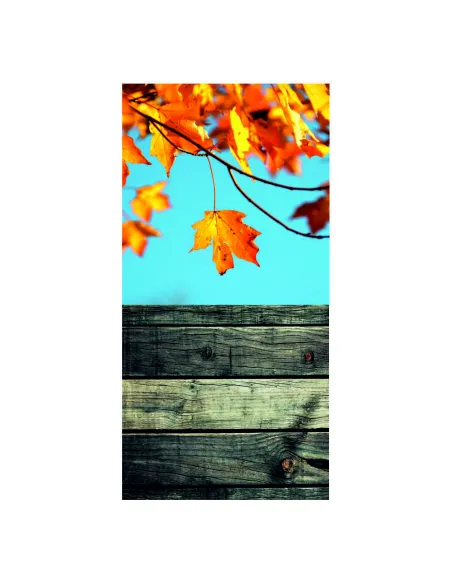 Tło fotograficzne Jesień liście drzewa 150x300 cm