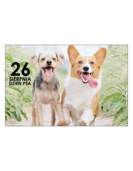 Magnesy na lodówkę - 26 SIERPNIA DZIEŃ PSA - drukarnia, hurtownia, producent magnesów na lodówkę - druktur.com