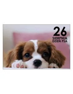 Magnesy na lodówkę - 26 SIERPNIA DZIEŃ PSA - drukarnia, hurtownia, producent magnesów na lodówkę - druktur.com