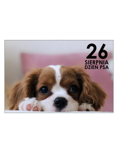 Magnesy na lodówkę - 26 SIERPNIA DZIEŃ PSA - drukarnia, hurtownia, producent magnesów na lodówkę - druktur.com