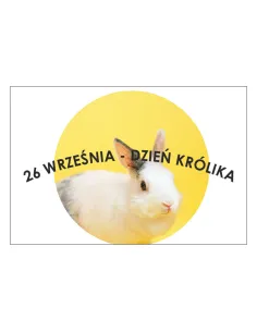 Magnesy na lodówkę - 26 WRZEŚNIA DZIEŃ KRÓLIKA - drukarnia, hurtownia, producent magnesów na lodówkę - druktur.com
