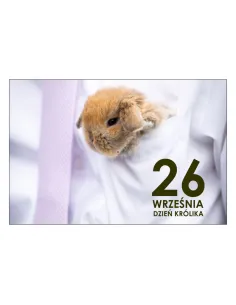 Magnesy na lodówkę - 26 WRZEŚNIA DZIEŃ KRÓLIKA - drukarnia, hurtownia, producent magnesów na lodówkę - druktur.com