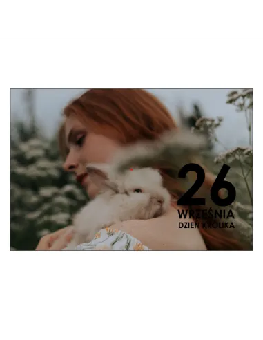 Magnesy na lodówkę - 26 WRZEŚNIA DZIEŃ KRÓLIKA - drukarnia, hurtownia, producent magnesów na lodówkę - druktur.com