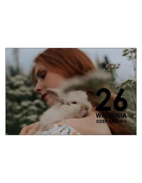 Magnesy na lodówkę - 26 WRZEŚNIA DZIEŃ KRÓLIKA - drukarnia, hurtownia, producent magnesów na lodówkę - druktur.com