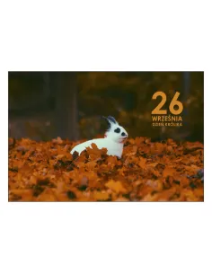 Magnesy na lodówkę - 26 WRZEŚNIA DZIEŃ KRÓLIKA - drukarnia, hurtownia, producent magnesów na lodówkę - druktur.com