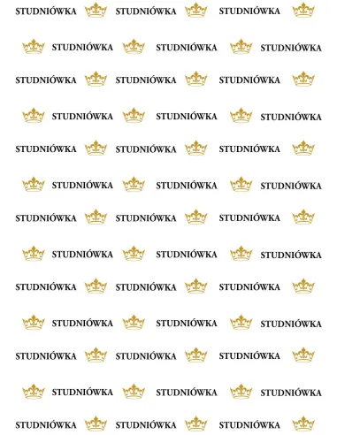 Tło fotograficzne ścianka do zdjęć studniówka