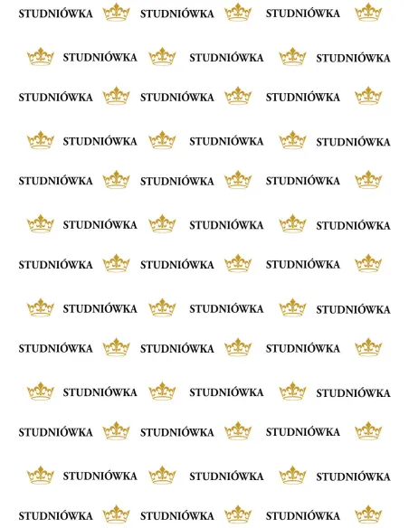 Tło fotograficzne ścianka do zdjęć studniówka