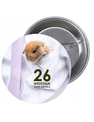 Przypinki buttony DZIEŃ KRÓLIKA  znaczki badziki z grafiką