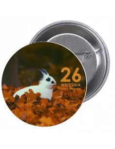 Przypinki buttony DZIEŃ KRÓLIKA  znaczki badziki z grafiką