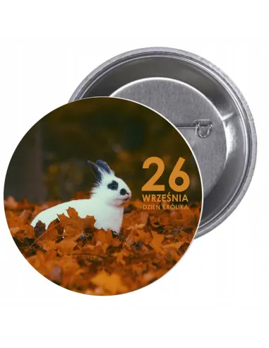 Przypinki buttony DZIEŃ KRÓLIKA  znaczki badziki z grafiką