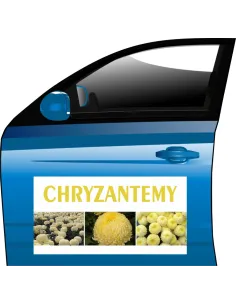 MAGNES CHRYZANTEMA CREAMIST reklamy DUŻO WZORÓW