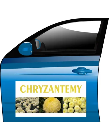 MAGNES CHRYZANTEMA CREAMIST reklamy DUŻO WZORÓW