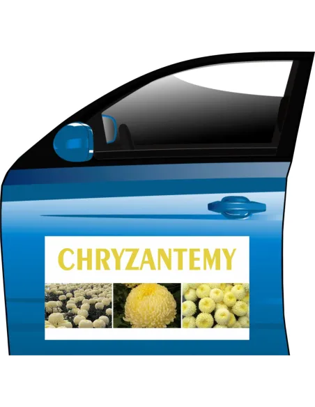 MAGNES CHRYZANTEMA CREAMIST reklamy DUŻO WZORÓW