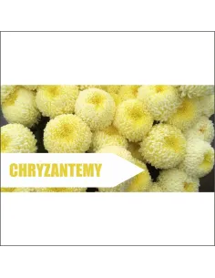 Reklama plandeka baner 200x100 cm kwiaty cięte