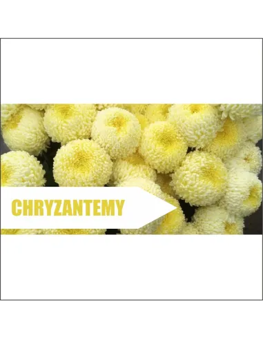 Reklama plandeka baner 200x100 cm kwiaty cięte