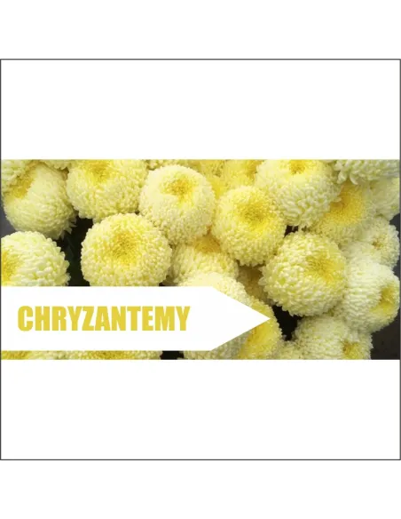 Reklama plandeka baner 200x100 cm kwiaty cięte