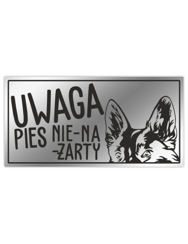 Uwaga ZŁY PIES Tabliczka z imieniem psa nierdzewna