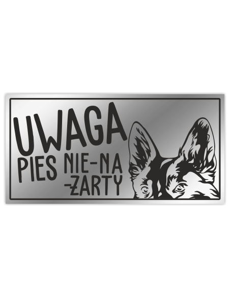 Uwaga ZŁY PIES Tabliczka z imieniem psa nierdzewna