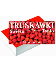 Wizytówki firmowe 100 szt duży wybór wzorów projekt gratis TRUSKAWKI