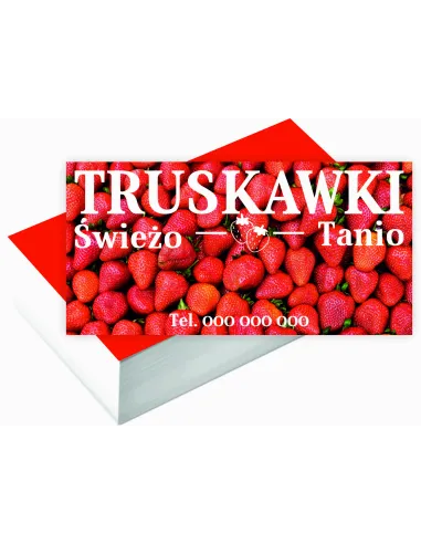 Wizytówki firmowe 100 szt duży wybór wzorów projekt gratis TRUSKAWKI