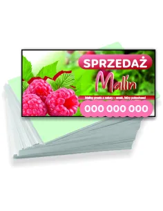 Wizytówki firmowe reklamowe 100szt różne wzory sprzedaż malin