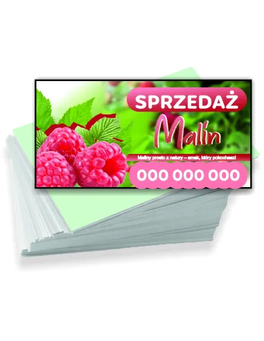Wizytówki firmowe reklamowe 100szt różne wzory sprzedaż malin