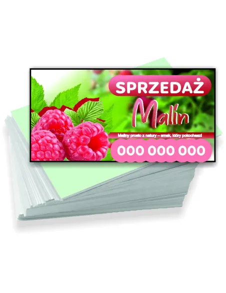Wizytówki firmowe reklamowe 100szt różne wzory sprzedaż malin