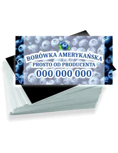 Wizytówki firmowe reklamowe 1000szt różne wzory borówka amerykańska