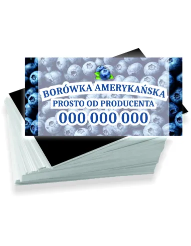 Wizytówki firmowe reklamowe 1000szt różne wzory borówka amerykańska