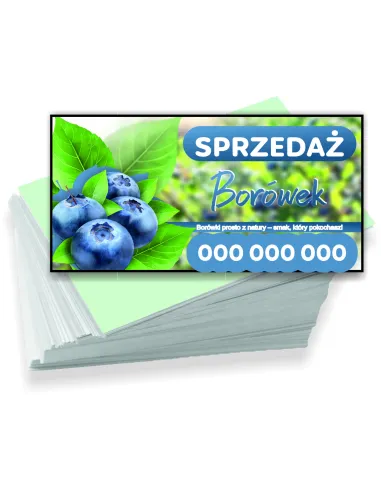 Wizytówki firmowe reklamowe 200 szt różne wzory sprzedaż borówek