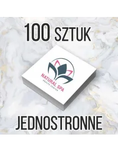 WIZYTÓWKI kwadratowe 100 szt. 48h szybki druk EXPRESS