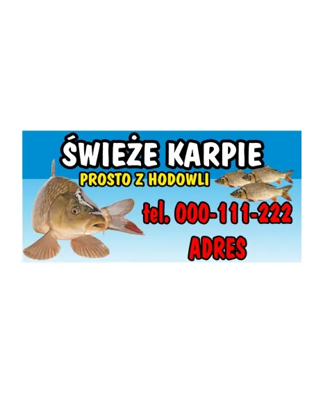 BANER SPRZEDAŻ KARPI RYBY ŚWIĄTECZNE