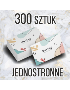 WIZYTÓWKI 300 szt. 48h szybki druk EXPRESS