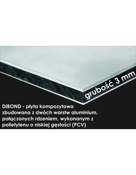 TABLICA ADRESOWA dibond plexi oświetlony numer domu adres 40x30 cm z dystansami lampką
